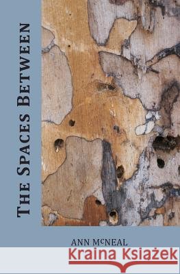 The Spaces Between Ann McNeal 9780615572642