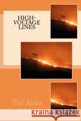 High Voltage Lines Tiel Aisha Ansari 9780615663760 Barefoot Muse Press