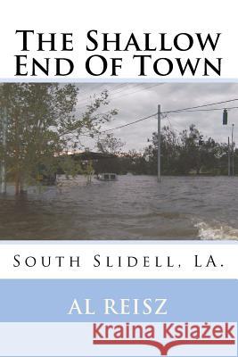 The Shallow End Of Town Reisz, Al 9780615691176 Kat Boy Works