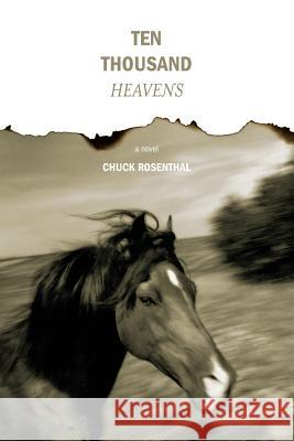 Ten Thousand Heavens Chuck Rosenthal 9780615744995 Whitepoint Press