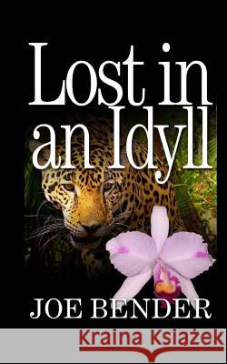 Lost in an Idyll MR Joseph B. Bender 9780615763668 Joseph Bender