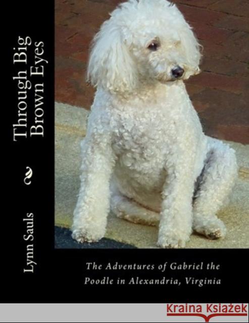 Through Big Brown Eyes: The adventures of Gabriel the poodle in Alexandria, Virginia Sauls, Lynn B. 9780615789033 Lynn Sauls