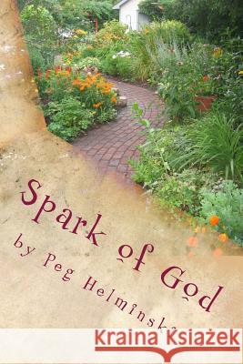 Spark of God Peg Helminski 9780615791845 Mnh Publications