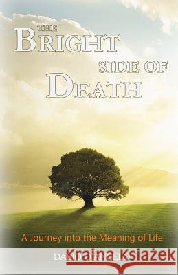 The Bright Side of Death: A Journey Into the Meaning of Life Dario D'Angelo 9780615815091 Dario D'Angelo