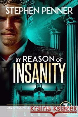 By Reason of Insanity: David Brunelle Legal Thriller #3 Stephen Penner 9780615821658