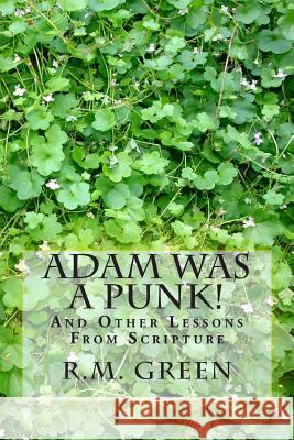 Adam Was A Punk!: And Other Lessons From Scripture Green, R. M. 9780615835099 Safe Haven Publishing Company