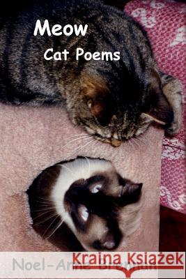 Meow Cat Poems Noel-Anne Brennan 9780615860480 Sander Press