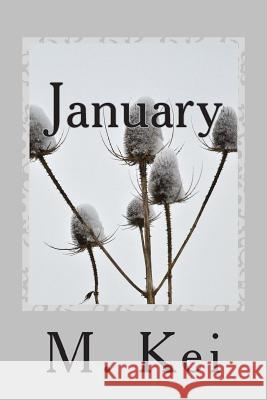 January: A Tanka Diary M. Kei 9780615871561 Keibooks