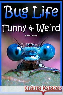 Bug Life Funny & Weird Insect Animals: Learn with Amazing Photos and Fun Facts About Bugs and Spiders Hersom, P. T. 9780615885476 Hersom House Publishing