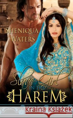 Slave Girl in the Harem Sheniqua Waters 9780615888262 Theworldsbestbook.com
