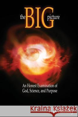 The Big Picture: An Honest Examination of God, Science, and Purpose P. D. Hemsley 9780615903651