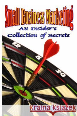 Small Business Marketing: An Insider's Collection of Secrets Michael Delaware 9780615918570 If, and or But Publishing