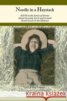 Needle in a Haystack: Sixth in the Series of Stories About Life ... Tennant, Jean 9780615919430 Shapato Publishing, LLC