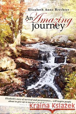 An Amazing Journey Elizabeth Anne Brechter 9780615922768