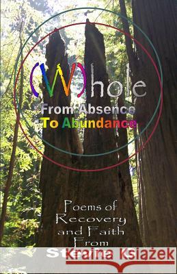 Whole: From Absence To Abundance: Poems of Recovery and Faith G, Stevie 9780615935935 Owl Howse Press