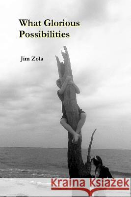 What Glorious Possibilities Jim Zola 9780615958354 Aldrich Press