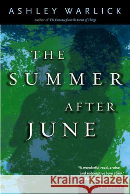 The Summer After June Ashley Warlick 9780618127306