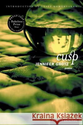 Cusp: Poems Jennifer Grotz 9780618302468 Mariner Books