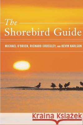The Shorebird Guide Michael O'Brien Richard Crossley Kevin Karlson 9780618432943