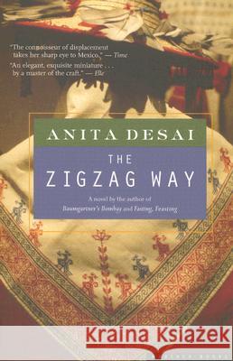 Zigzag Way Desai, Anita 9780618619801