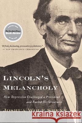 Lincoln's Melancholy: How Depression Challenged a President and Fueled His Greatness Joshua Wolf Shenk 9780618773442 Mariner Books