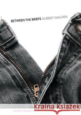 Between the Briefs Aubrey Malden 9780620676267