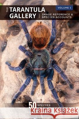 The Tarantula Gallery: Image Reference & Species Accounts Danny d 9780620884020 Danny de Bruyne