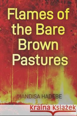 Flames of the Bare Brown Pastures Mandisa Hadebe 9780620947657