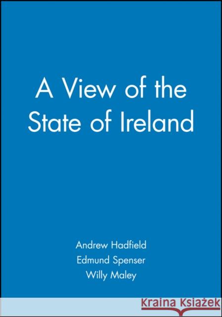 A View of the State of Ireland: The Production and Experience of Consumption Hadfield, Andrew 9780631205357 Blackwell Publishers