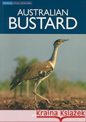 Australian Bustard Mark Ziembicki 9780643096110 CSIRO Publishing