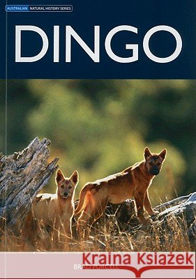 Dingo Brad Purcell 9780643096936