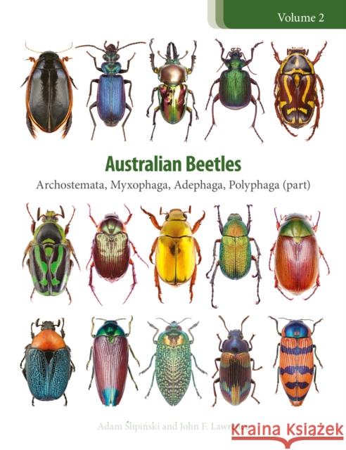 Australian Beetles: Archostemata, Myxophaga, Adephaga, Polyphaga (Part) Adam Slipinski John F. Lawrence 9780643097308 CSIRO Publishing