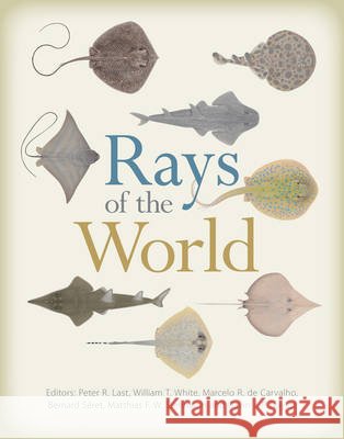 Rays of the World Peter Last Gavin Naylor Bernard Seret 9780643109131