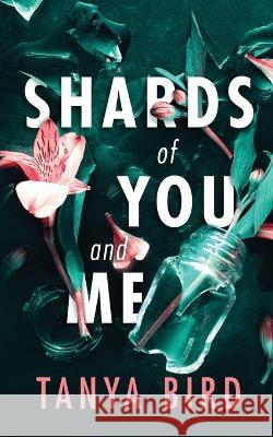 Shards of You and Me Tanya Bird 9780645093438 Tanya Bird