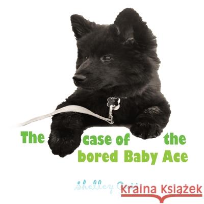 The Case of the Bored Baby Ace: Book Two in the Sleep Sweet Series Shelley Cass 9780645111880 Thorpe-Bowker Identifier Services