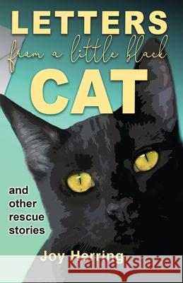 Letters from a Little Black Cat: and other rescue stories Joy Herring 9780645174601 Joy Herring