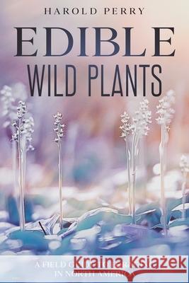 Edible Wild Plants: A Field Guide to Foraging in North America Harold Perry 9780645265729 Creek Ridge Publishing