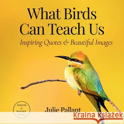 What Birds Can Teach Us: Inspiring Quotes & Beautiful Images Julie Pallant 9780645347609 Pallant Creative Solutions