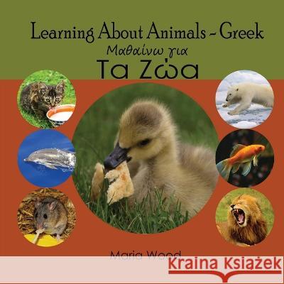 Learning About Animals- Greek Maria Wood   9780645545401 Maria Wood