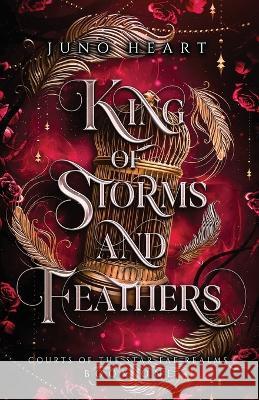 King of Storms and Feathers: A Fae Fantasy Bully Romance Juno Heart   9780645624274