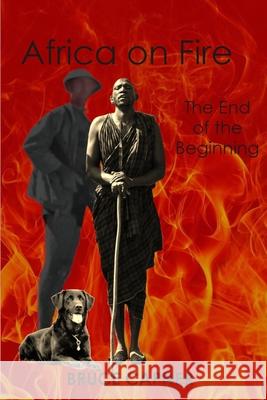 Africa on Fire: The End of the Beginning Bruce Capner 9780645699685 Wendiilou Publishing