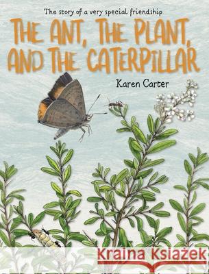 The Ant, the Plant, and the Caterpillar Karen A Carter   9780645740400