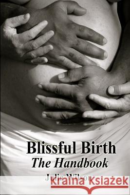 Blissful Birth - The Handbook Julia Wilson 9780646594996 Blissful Birth Books