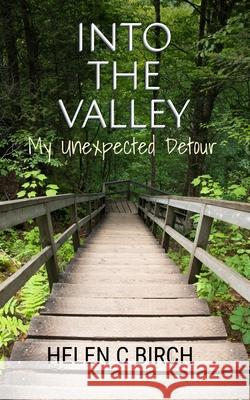 Into The Valley: My Unexpected Detour Helen C. Birch 9780646723143