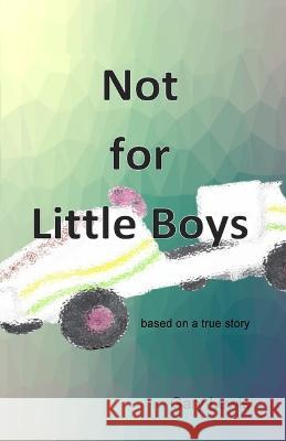 Not for Little Boys Gary B Lewis 9780646852355