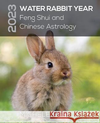 2023 Water Rabbit Year: Feng Shui and Chinese Astrology Michele Castle Pankaj Runthala 9780646872759 Complete Feng Shui