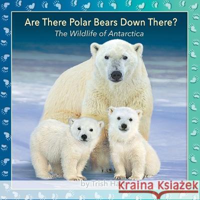 Are There Polar Bears Down There?: The Wildlife of Antarctica Trish Hart Trish Hart  9780648011200