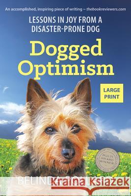 Dogged Optimism (Large Print): Lessons in Joy from a Disaster-Prone Dog Pollard, Belinda 9780648267249 Small Blue Dog Publishing Pty Ltd