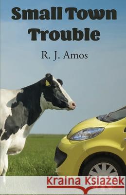 Small Town Trouble R J Amos 9780648291336 Ruth Amos