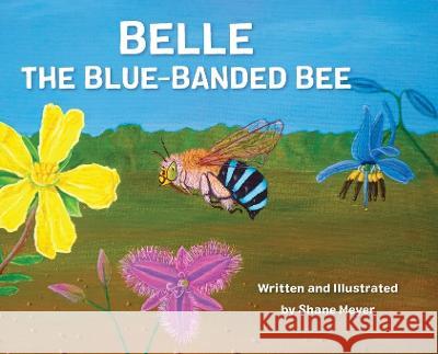 Belle The Blue-Banded Bee Shane Meyer   9780648429333 Shane Meyer